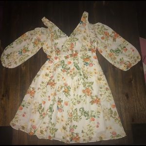 cottagecore puffy sleeves dress